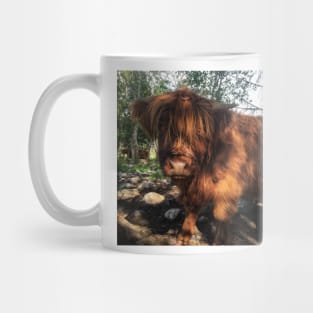 Scottish Highland Cattle Calf 2062 Mug